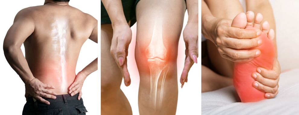 Tratamentul articular Hondrolife