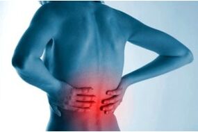 Locul osteocondrozei spinale